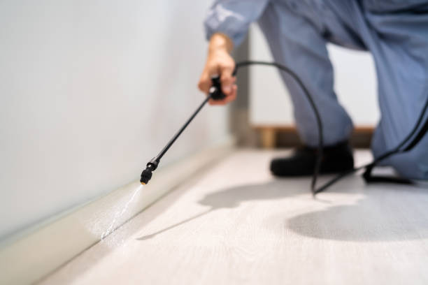 Licensed Mosquito Control service in Grand Blanc, MI - Show Me Pest Control