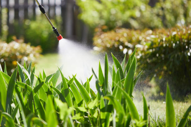 24/7 Emergency Mosquito Control experts in Grand Blanc, MI