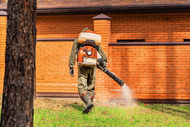 Top rated local Mosquito Control specialists in Grand Blanc, MI